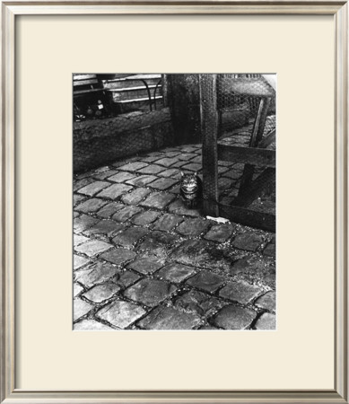Dans La Cours, 255 Avenue Alesia, C.1947 by Izis Pricing Limited Edition Print image