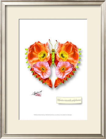 Infractus Midocarus Polychromus by Michel Tcherevkoff Pricing Limited Edition Print image