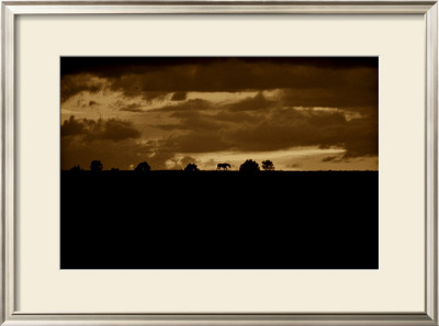 Horse Silhouette Sunset by Jim Tunell Pricing Limited Edition Print image