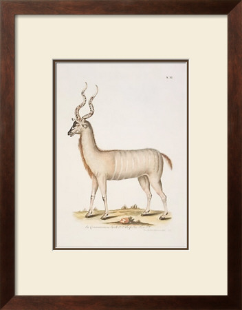 Antelope by George Wolfgang Knorr Pricing Limited Edition Print image