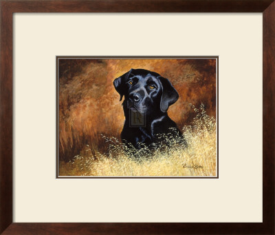 Black Labrador by Richard Britton Pricing Limited Edition Print image