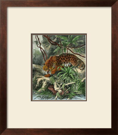 Jaguar by Friedrich Specht Pricing Limited Edition Print image