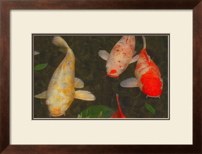 Green Rock Japanese Koi I by Erichan Pricing Limited Edition Print image