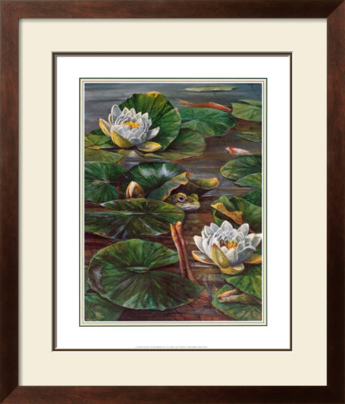 Frog In Lily Pond by Durgin Pricing Limited Edition Print image