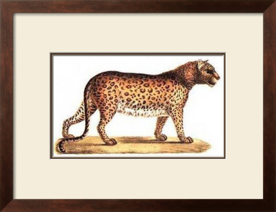 Leopard by Karl Brodtmann Pricing Limited Edition Print image