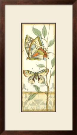 Tandem Butterflies Iv by Jennifer Goldberger Pricing Limited Edition Print image