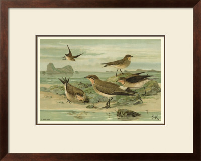 Shore Gathering V by Franz Eugen Kohler Pricing Limited Edition Print image