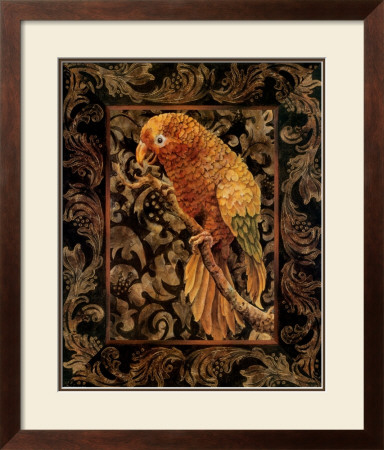 Golden Parrot Ii by Pat Woodworth Pricing Limited Edition Print image