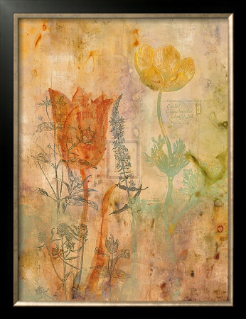 Botanica I by Dysart Pricing Limited Edition Print image