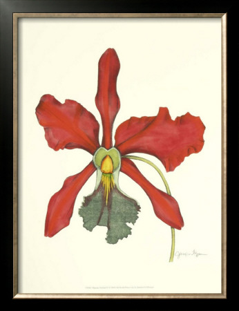 Majestic Orchid Iv by Jennifer Goldberger Pricing Limited Edition Print image