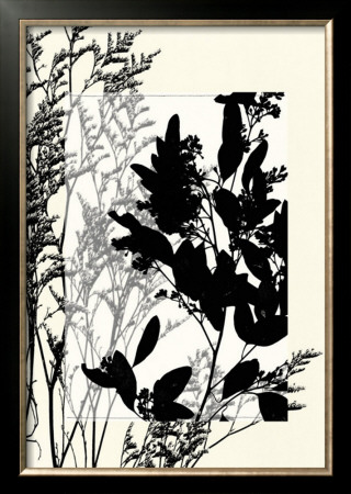 Translucent Wildflowers X by Jennifer Goldberger Pricing Limited Edition Print image