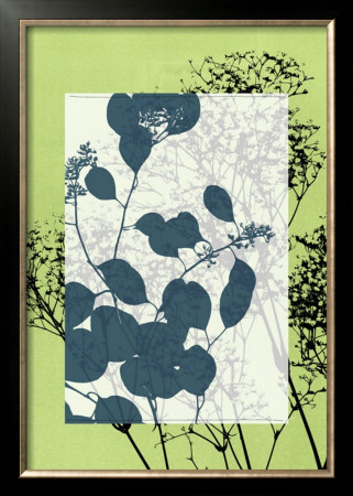 Translucent Wildflowers Vii by Jennifer Goldberger Pricing Limited Edition Print image