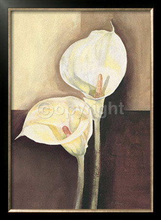 Two White Callas by Namazbek Chekirov Pricing Limited Edition Print image