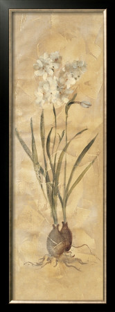 White Narcissus Panel by Cheri Blum Pricing Limited Edition Print image