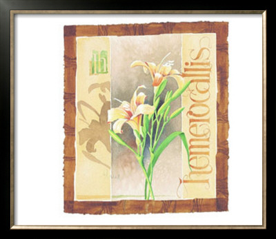 Hemerocallis by Franz Heigl Pricing Limited Edition Print image