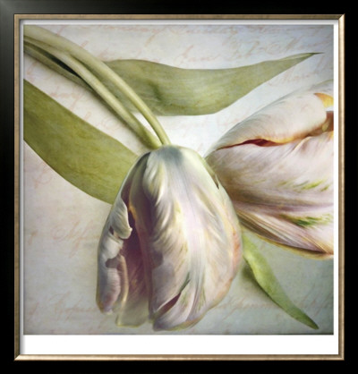 Two Parrot Tulips by Sally Wetherby Pricing Limited Edition Print image