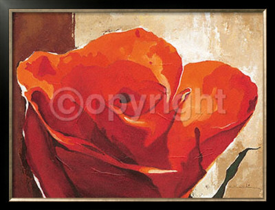 Bright Red Rose by Arkadiusz Warminski Pricing Limited Edition Print image