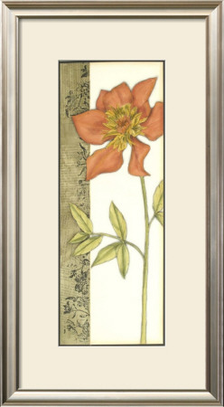 Bella Flora Ii by Jennifer Goldberger Pricing Limited Edition Print image
