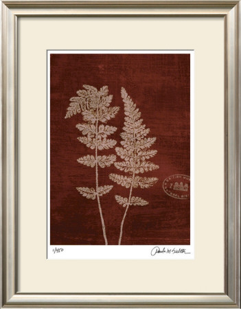 Leaf Study Iii by Paula Scaletta Pricing Limited Edition Print image