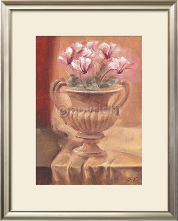 Classic Cyclamen by Scott Norman Pricing Limited Edition Print image