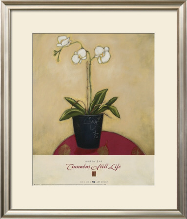 Cinnabar Still Life I by Maria Eva Pricing Limited Edition Print image