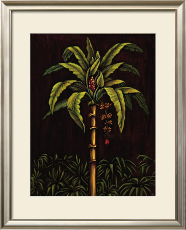 Tropical Paradise Ii by Samuel Blanco Pricing Limited Edition Print image
