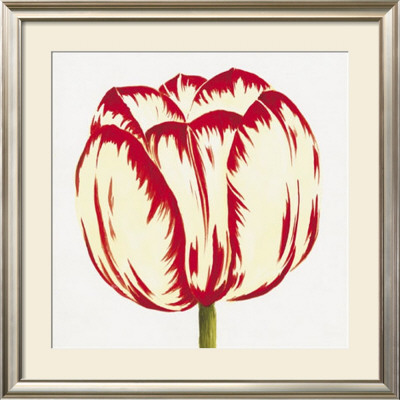 Red And White Tulip by Miriam Bedia Pricing Limited Edition Print image