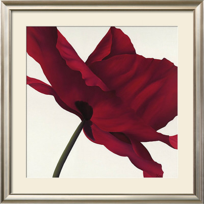 Papaver I by Yvonne Poelstra-Holzhaus Pricing Limited Edition Print image