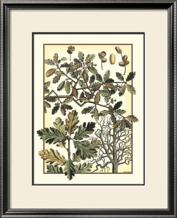 Arts And Crafts Oak by M.P. Verneuil Pricing Limited Edition Print image