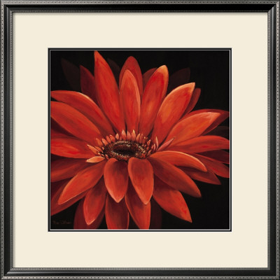Fantastic Gerbera by Rian Withaar Pricing Limited Edition Print image