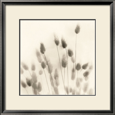 Italian Tall Grass No. 2 by Alan Blaustein Pricing Limited Edition Print image