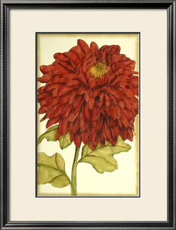 Ruby Blooms I by Jennifer Goldberger Pricing Limited Edition Print image