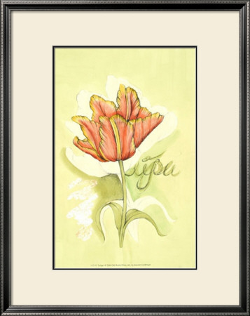 Tulipa I by Jennifer Goldberger Pricing Limited Edition Print image