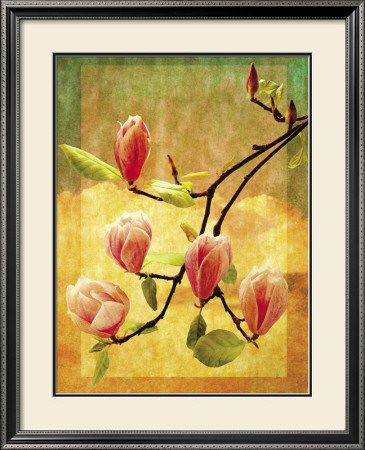 Magnolia Blossoms by Doug Landreth Pricing Limited Edition Print image