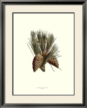 Bordeaux Pine by Deshayes Pricing Limited Edition Print image