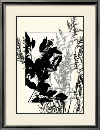 Translucent Wildflowers Ix by Jennifer Goldberger Pricing Limited Edition Print image