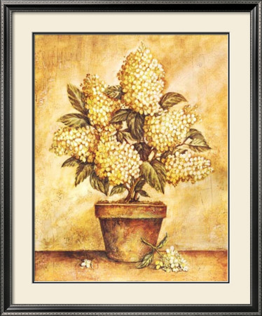 Potted White Hydrangea by Tina Chaden Pricing Limited Edition Print image
