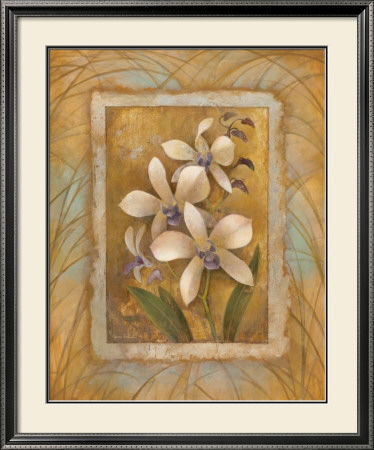 Illuminated Orchid I by Elaine Vollherbst-Lane Pricing Limited Edition Print image