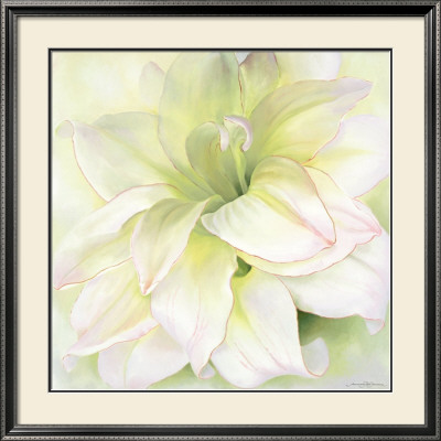 Amaryllis I by Annemarie Peter-Jaumann Pricing Limited Edition Print image