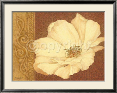 Moroccan  Flower Head by Anne Searle Pricing Limited Edition Print image