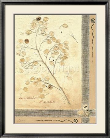 Lunaria Annua Ii by Beatrice Pricing Limited Edition Print image