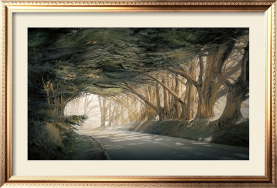 Inside A Dream by William Vanscoy Pricing Limited Edition Print image