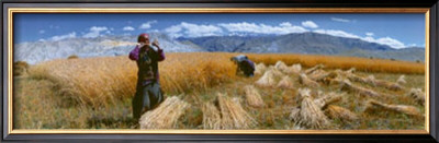 Lo Manthang - Tibet by D. Camisasca Pricing Limited Edition Print image