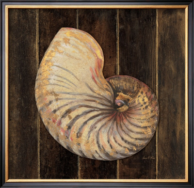 Ocean Nautilus by Arnie Fisk Pricing Limited Edition Print image