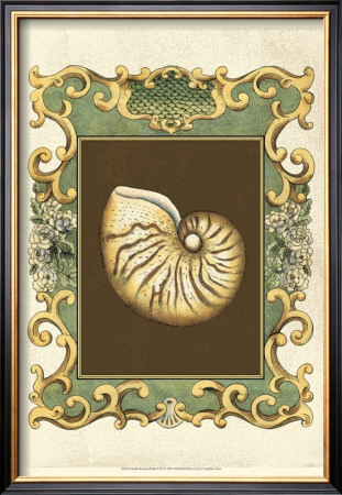 Mermaid's Shells Ii by Chariklia Zarris Pricing Limited Edition Print image