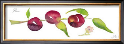 Plum Branch by Robbin Gourley Pricing Limited Edition Print image