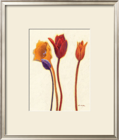 Tulipan Iii by Shirley Novak Pricing Limited Edition Print image