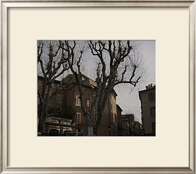 Sycamore, Aix-En-Provence, France by Nicolas Hugo Pricing Limited Edition Print image