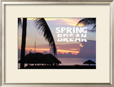 Spring Break by Marilu Windvand Pricing Limited Edition Print image