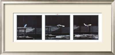 Seabird by Philip Plisson Pricing Limited Edition Print image